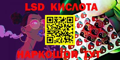 дживик Берёзовский