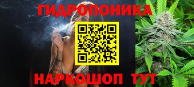 дживик Берёзовский