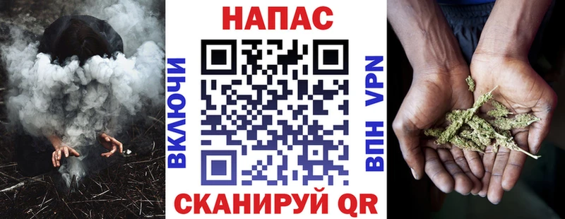Бошки марихуана планчик  Бор 